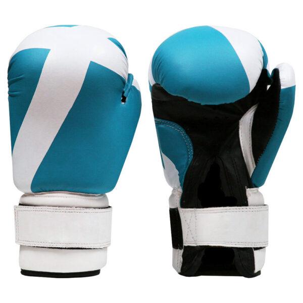IK-117 Boxing Gloves