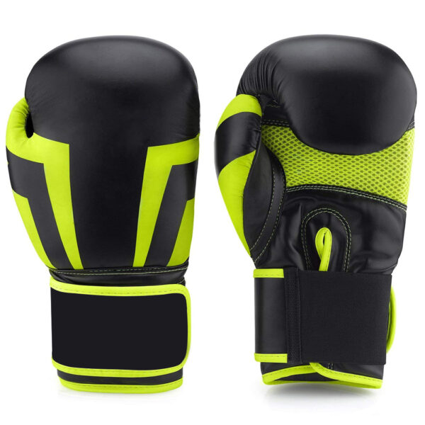IK-120 Boxing Gloves