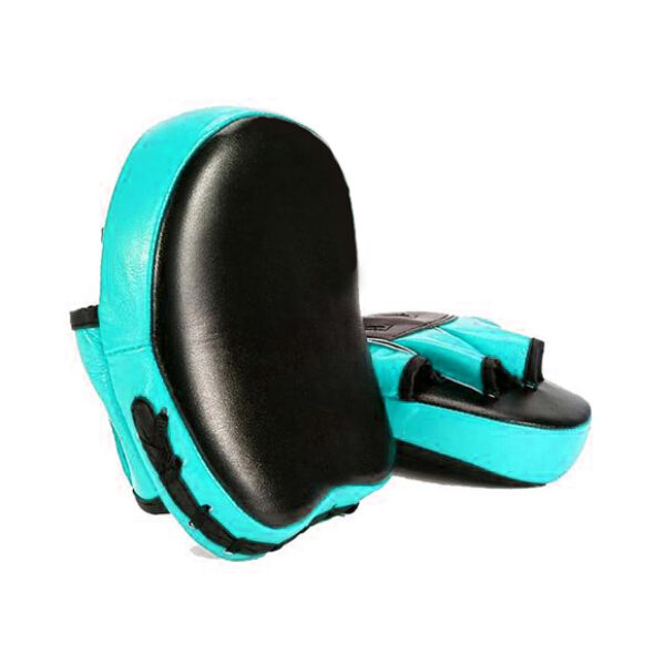IK-163 Focus Pad