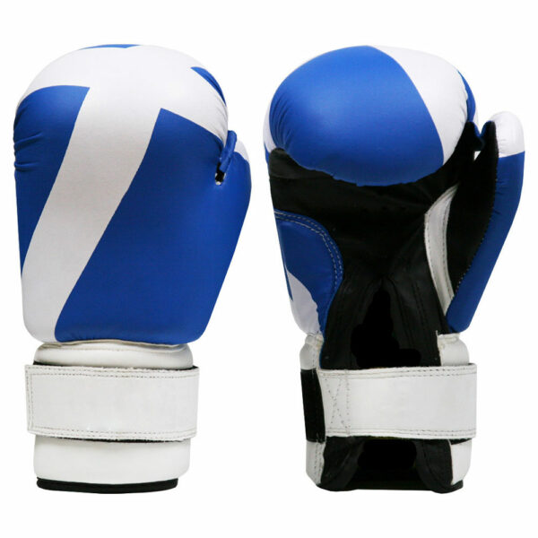 IK-117 Boxing Gloves