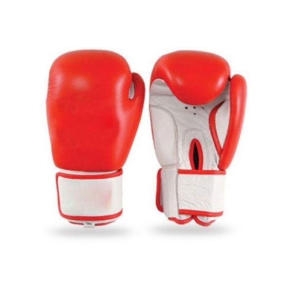 IK-121 Boxing Gloves