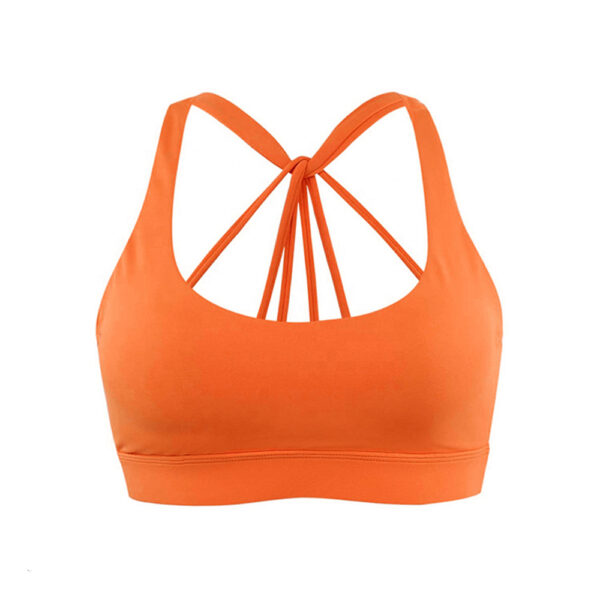 IK-196 Fitness Bra