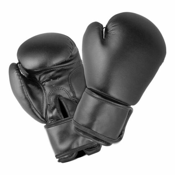 IK-123 Boxing Gloves