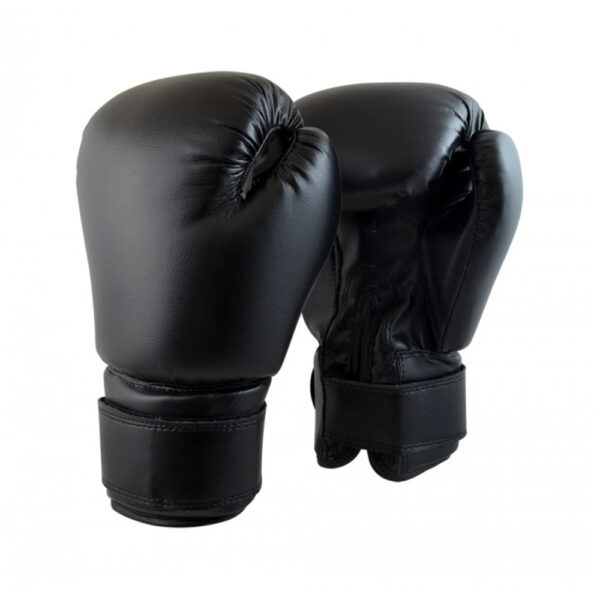 IK-119 Boxing Gloves