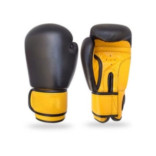 IK-121 Boxing Gloves