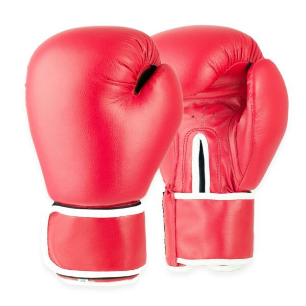 IK-124 Boxing Gloves