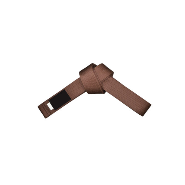 IK-319 Belt