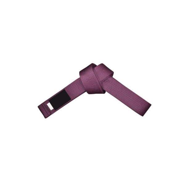 IK-319 Belt