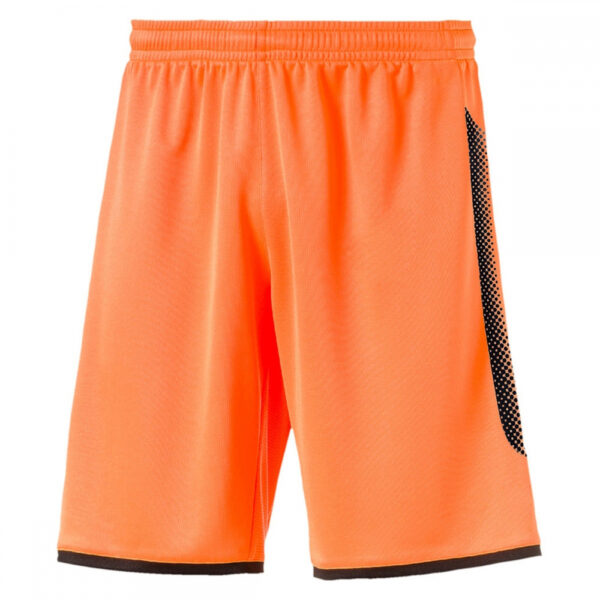 IK-238 Men Workout Shorts