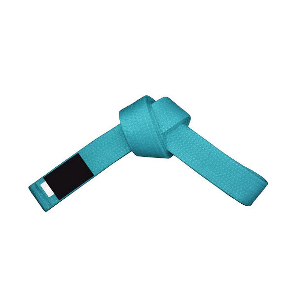 IK-320 Belt